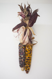 what does Thanksgiving corn have to do with writing?