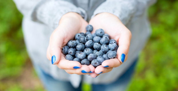 Blueberries are brain food